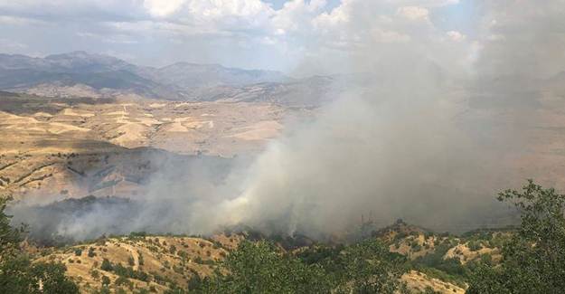 Siirt'te Orman Yangını Çıktı