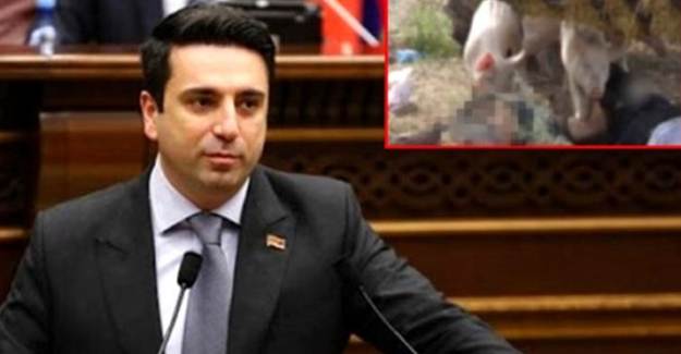 Simonyan'ın Şehit Azerbaycan Askerlerini Domuzlara Yedirdiği Görüntülere Tepki