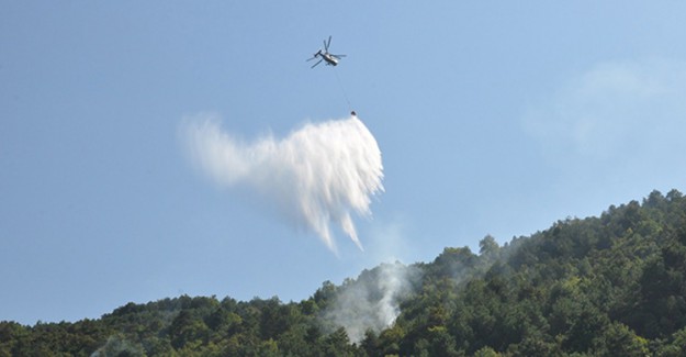 Sinop'ta Korkutan Orman Yangını