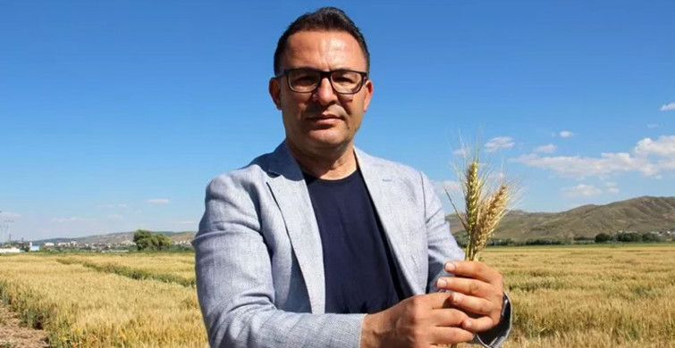 Sivas’ta devrim niteliğinde çalışma! Buğdayların verimi artacak, çiftçinin üretim maliyetlerini azaltacak!
