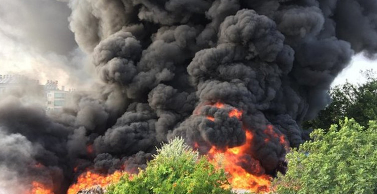 Son Dakika: Antalya'da Korkutan Orman Yangını Çıktı