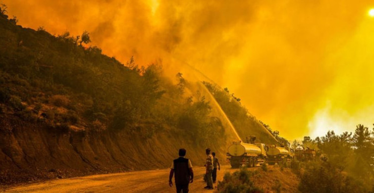 Son Dakika! Antalya'da Orman Yangını Çıktı