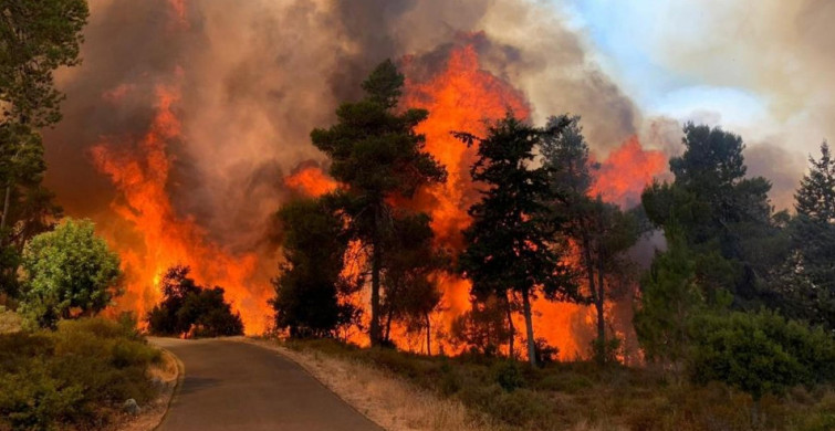 Son Dakika! Antalya'da orman yangını meydana geldi! Ekiplerin mücadelesi sürüyor