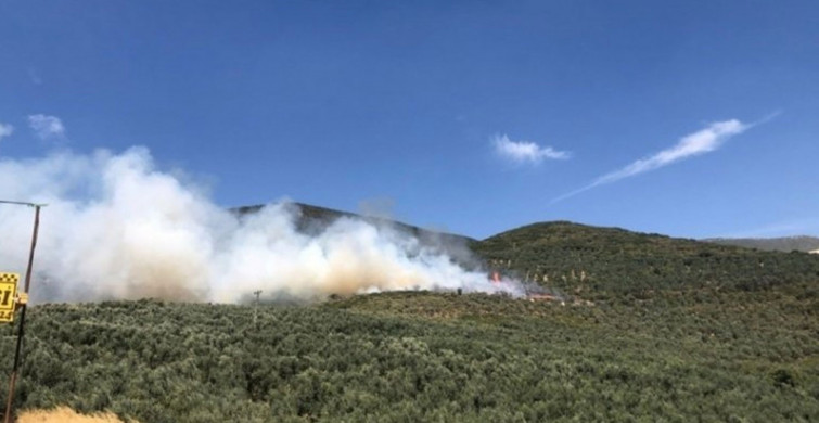 Son Dakika: Bursa'da Ormanlık Alanda Yangın