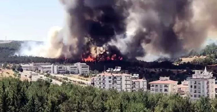 Son dakika! Gaziantep'te korkutan orman yangını: Ekipler seferber oldu