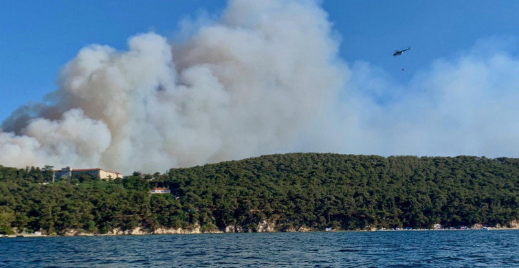 Heybeliada'da Orman Yangını: Vatandaş Tahliye Ediliyor! 