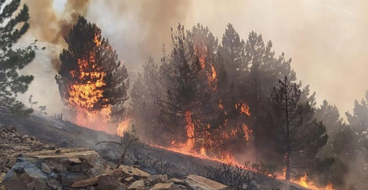 Son Dakika: Kahramanmaraş'ta Korkutan Orman Yangını Meydana Geldi