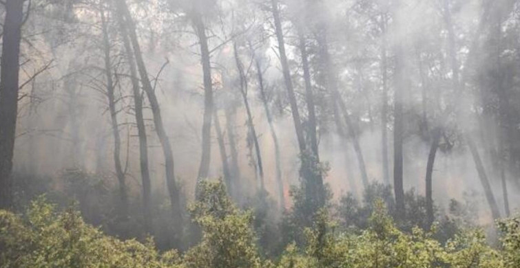 Son dakika! Karatepe Milli Parkı'nda Orman Yangını Çıktı
