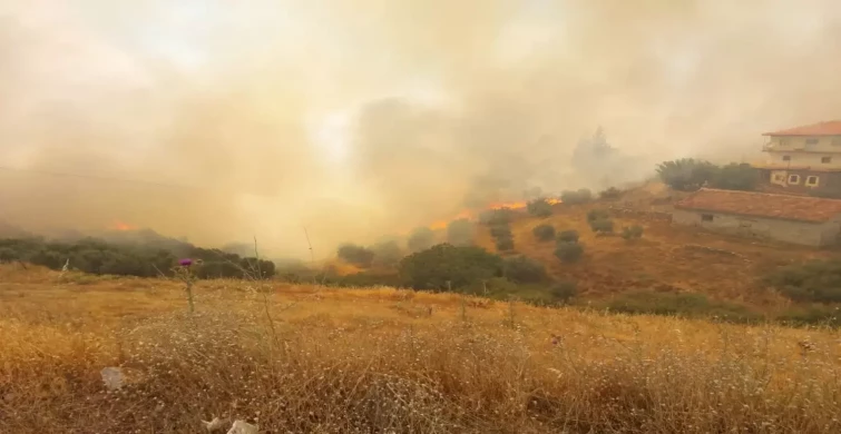 Son Dakika! Manisa-Uşak sınırında yangın! Onlarca ekip bölgede!