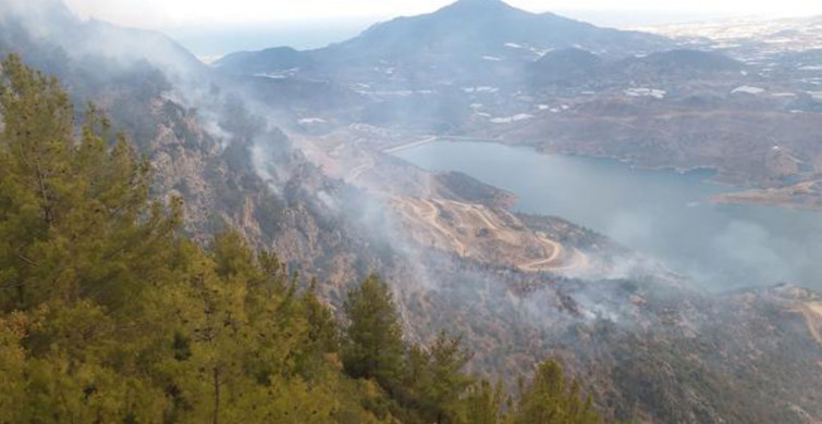 Son Dakika: Mersin'de Ormanlık Alanda Orman Yangını Çıktı!