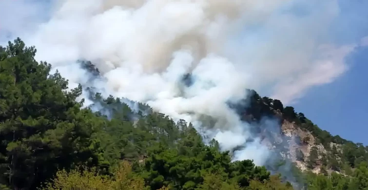 Son Dakika: Muğla, Antalya ve İzmir’de Orman Yangınları!