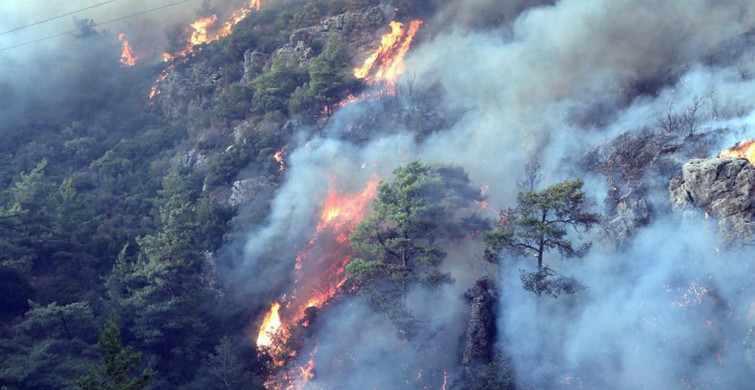 Son Dakika: Muğla’da Orman Yangını