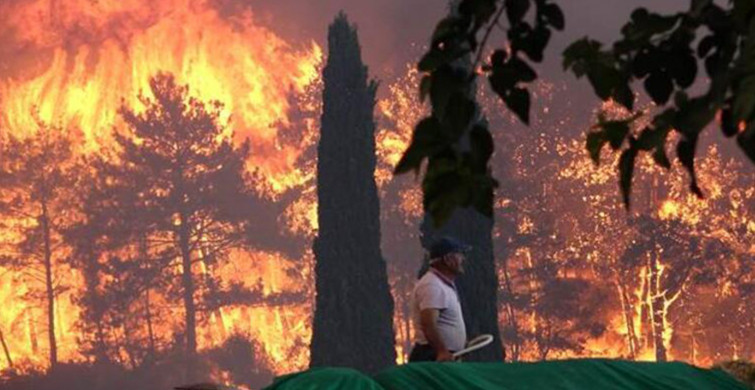 Son Dakika: Tarım ve Orman Bakanı Açıkladı! 7 İlde 36 Noktada Yangın Çıktı