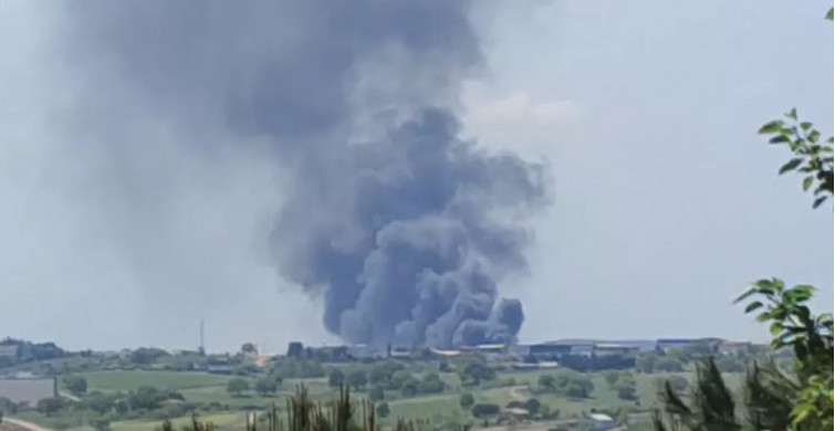 Son dakika: Tuzla'da fabrika yangını meydana geldi!
