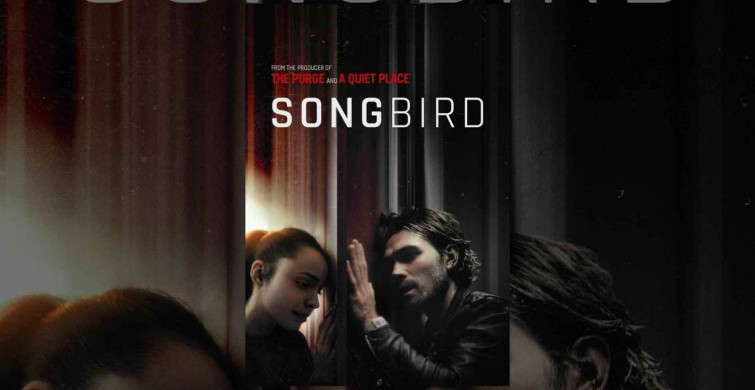 Songbird film konusu ve oyuncuları