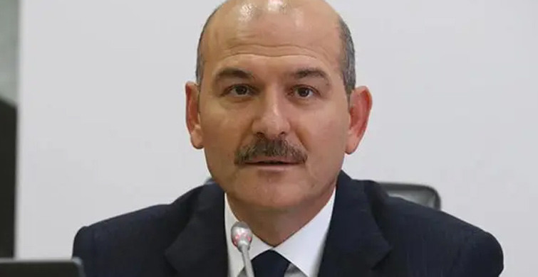 Süleyman Soylu, Avrupa Konseyi Parlamenter Meclisi Başkanı ile Bir Araya Geldi