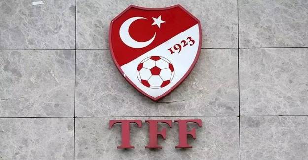 Süper Lig'de 2 Teknik Direktör PFDK'ya Sevk Edildi!