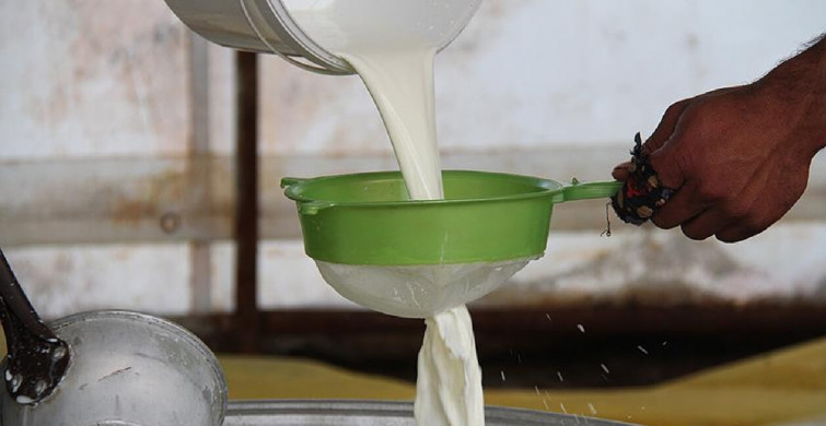 Süt fiyatları: A101, ŞOK, MİGROS, CarrefourSa 2022 süt fiyat listesi