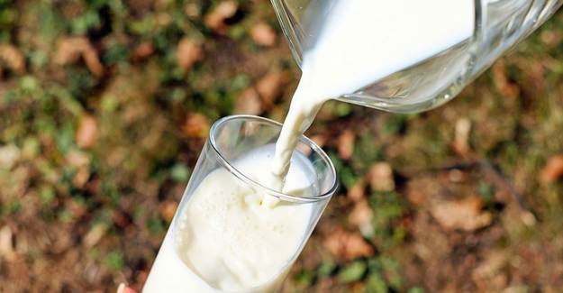 Süt Sektöründe Çin'e İhracat Hareketliliği