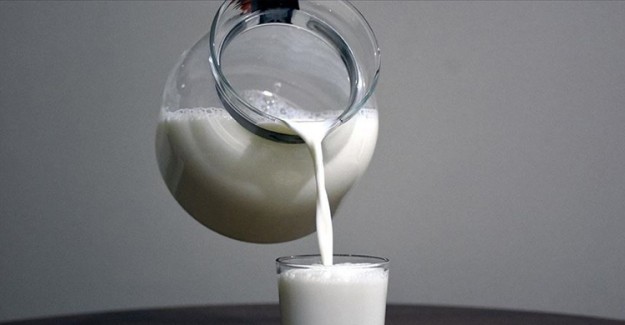 Süt Üreticileri Birliği İflas Eden Yörsan’ı Almak İstiyor
