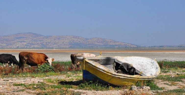 Tarım ve Orman Bakanlığı çalışmalara başladı: Kuş Cenneti eski günlerine dönüyor