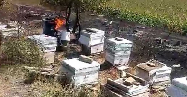 Tekirdağ'da 40 Sandık Arı Kovanı Yandı
