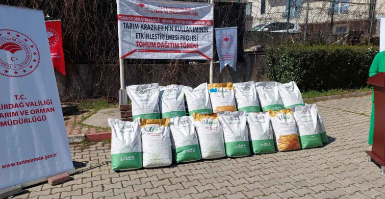 Tekirdağ'da ayçiçeği ithalatına karşı yerli tohum: Tarım ve Orman Bakanlığı üreticiye 2 buçuk ton hibrit tohum dağıttı!