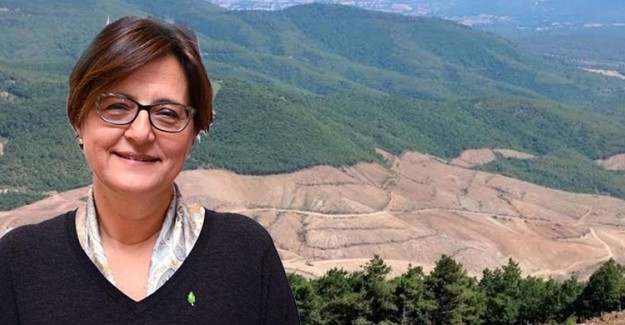 TEMA Vakfı'ndan Kaz Dağları Açıklaması: Siyaset Üstü Bir Durum