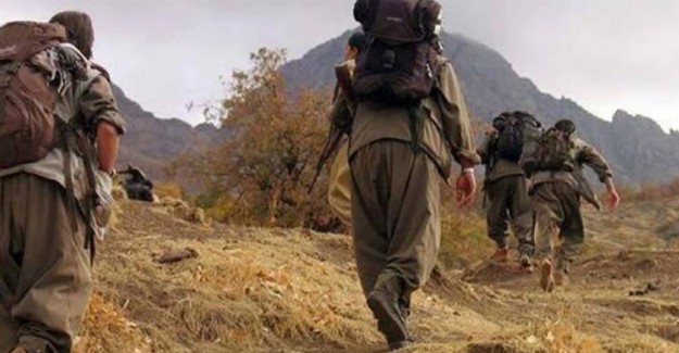 Terör Örgütü PKK Örgüt İçi İnfaz ve İşkencelere Başladı