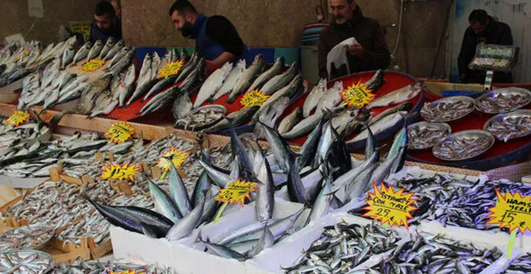 Tezgahlar Bereketlendi Balık Fiyatları Düştü