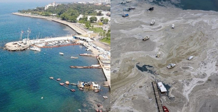 Tüm Türkiye Tek Yürek Olmuştu! Caddebostan Sahili 3'üncü Gününde Müsilajdan Temizlendi