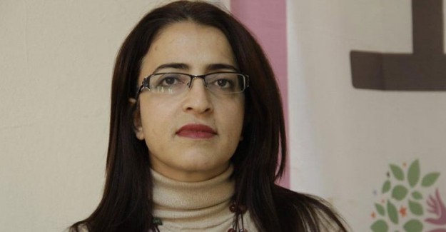 Tunceli'de Aralarında HDP'nin Tunceli Adayınında Olduğu 7 Şüpheli Gözaltına Alındı
