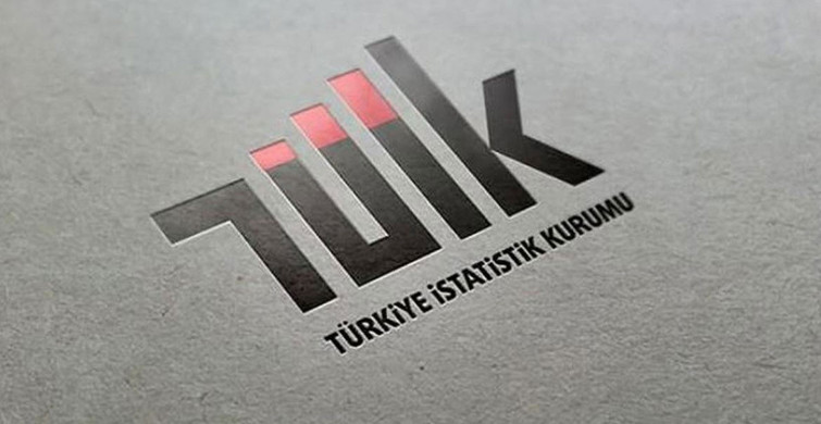 Türkiye İstatistik Kurumu (TÜİK), 2022 yılı Haziran ayı işgücü istatistiklerini açıkladı!