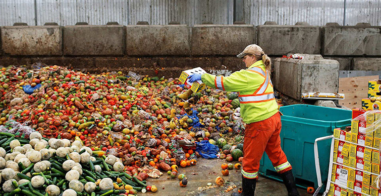 Türkiye Yıllık 18.8 Milyon Ton Gıdayı Çöpe Atıyor