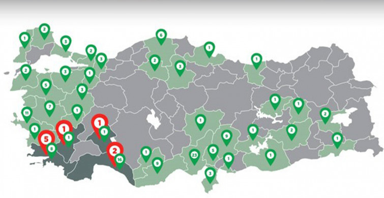 Türkiye'de Orman Yangınlarının Devam Ettiği Bölgeler Açıklandı