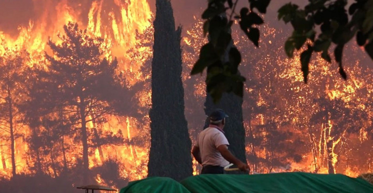 Türkiye'nin Ciğerini Yakan Orman Yangınlarına Dair Saati Saatine Son Durum