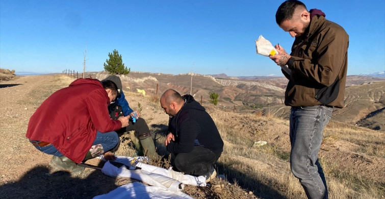 Türk ve Japon Araştırmacılar Keneyle İlgili Saha Çalışması Gerçekleştirdi