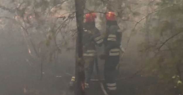 Ukrayna'da Orman Yangını: Altı Ölü, Dokuz Yaralı