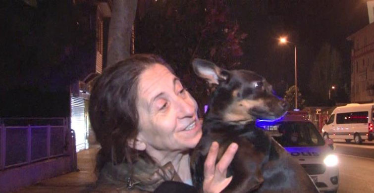 Üsküdar’da Çıkan Yangında Uyuyakalan Kadını, Kahraman Köpeği Kurtardı!