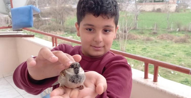 Üşüyen Serçe Kuş, Ömer’in Minik Avuçlarında Isındı