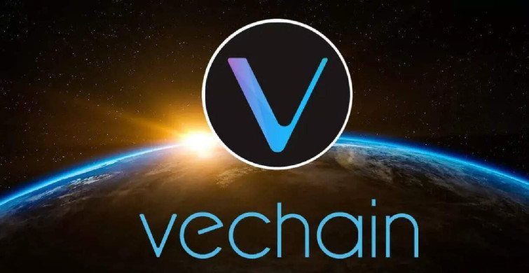 VeChain coin nedir? Vet coin projesi ve yol haritası