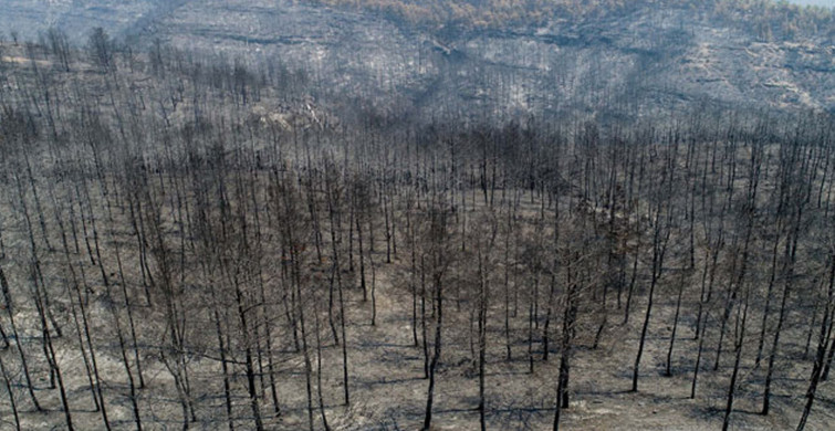 Yangının Acı Bilançosu Açıklandı! Zarar 2 Milyar TL'nin Üstünde