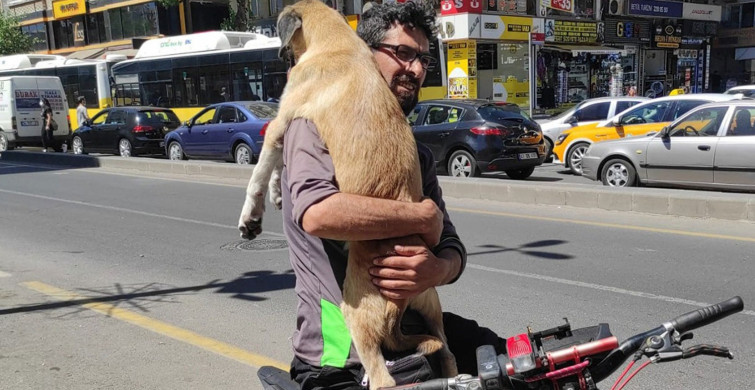 Yaralı Köpeği Bisikletle 5 Kilometre Boyu Taşıdı