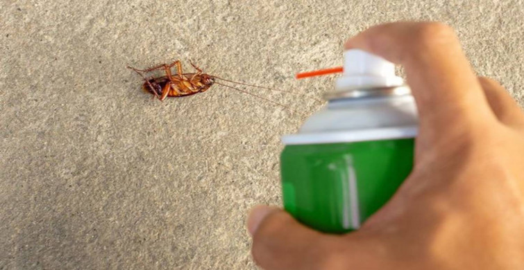 Yaz mevsiminde böcek derdine son! Ev yapımı böcek spreyi ile sivrisinek ve böceklerden kurtulun
