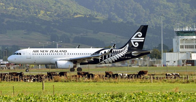 Yeni Zelanda'da Şüpheli Paket Alarmı Sebebiyle Havalimanı Kapatıldı