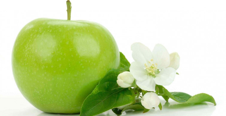 Yeşil elma kaç kalori? Yeşil elma diyet listesinde yer almalı mı? Yeşil elmanın bilimsel faydaları