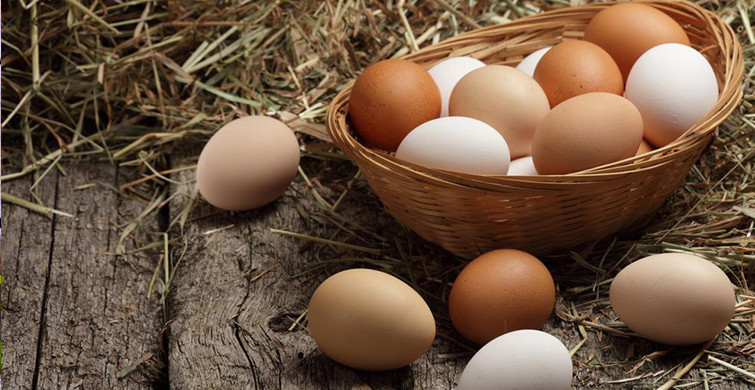 Yumurtanın Faydaları Nelerdir?