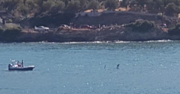 Yunanistan'da Elektrik Tellerine Çarpan Helikopter Denize Düştü: 1 Ölü, 2 Kayıp