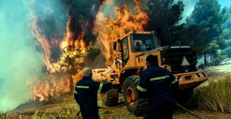 Yunanistan’daki Orman Yangınlarında Korkunç Bilanço Açıklandı