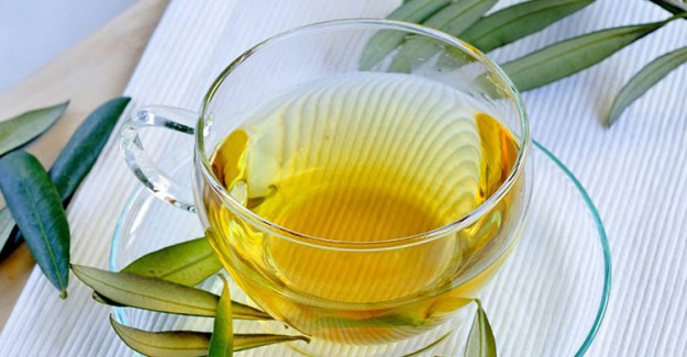 Zeytin Yaprağı Çayı Nasıl Zayıflatıyor? Diyetinizde Mutlaka Yer Alsın